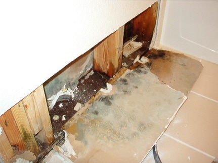 Protecting the Exterior Of Your Home from Water Damage